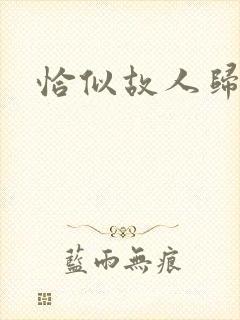 恰似故人归小说