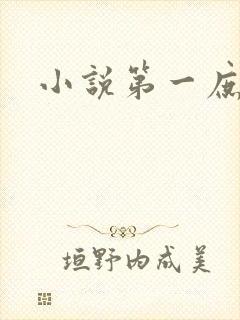 小说第一庶女