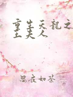 重生天龙之推倒王夫人