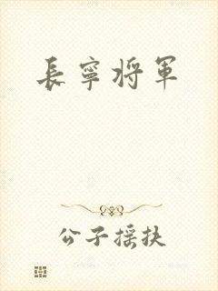 长宁将军
