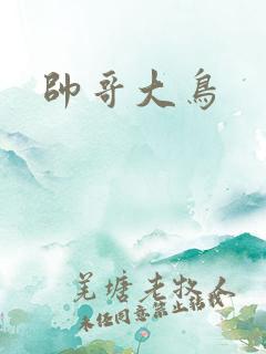 帅哥大鸟