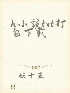 h小说txt打包下载