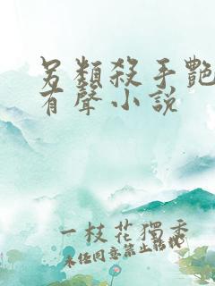 另类杀手艳福星有声小说