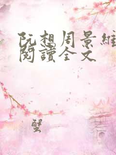 阮想周景维免费阅读全文