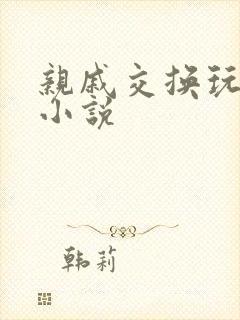 亲戚交换玩美妇小说