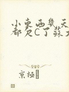 小东西几天没做都欠C了苏大深