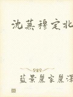 沈芜穆定北小说