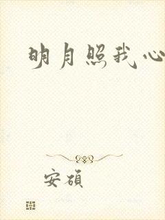 明月照我心小说