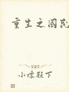 重生之国民老公