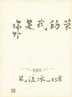 你是我的荣耀番外