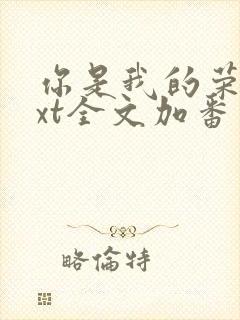 你是我的荣耀txt全文加番外