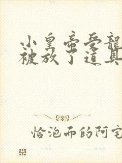 小皇帝受龙椅上被放了道具