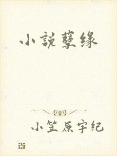 小说孽缘