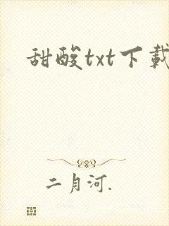 甜酸txt下载