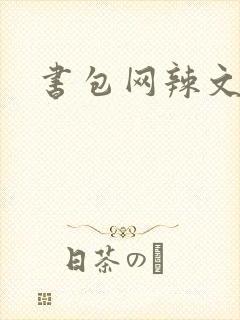 书包网辣文