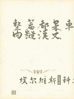 整篇都是车的多肉糙汉文