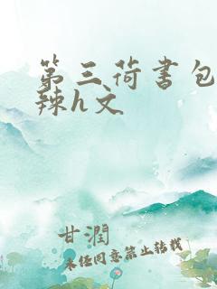 第三荷书包网高辣h文