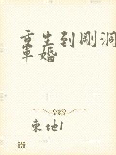 重生到刚洞房的军婚