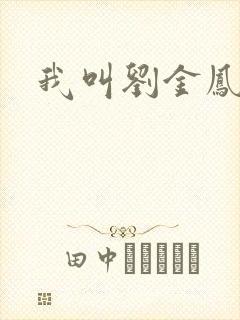 我叫刘金凤下架