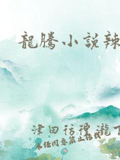 龙腾小说辣文网