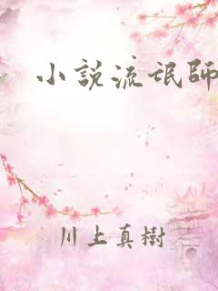 小说流氓师表