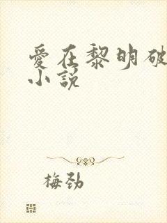 爱在黎明破晓前小说