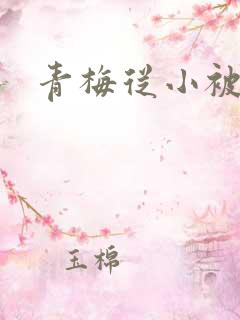 青梅从小被吃H