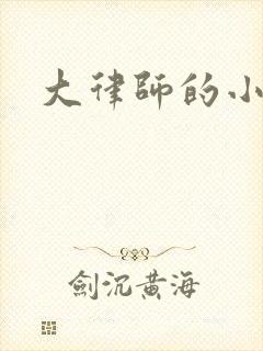 大律师的小老婆