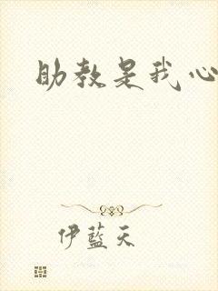 助教是我心尖宠