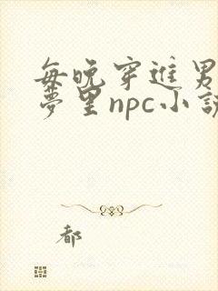 每晚穿进男神的梦里npc小说