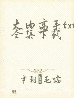 大内高手txt全集下载