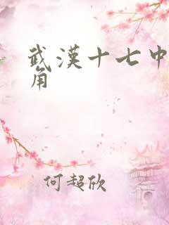 武汉十七中女主角