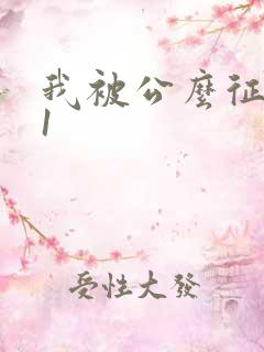 我被公么征服了1