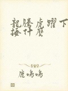 龙腾虎跃下一句接什么