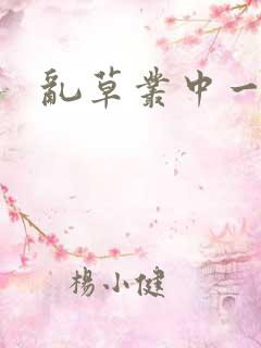 乱草丛中一杆枪