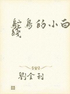 鸵鸟的小白脸路线