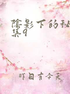 阴影下的秘密全集9