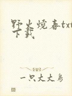野火烧春txt下载