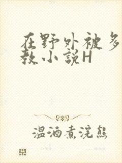 在野外被多人调教小说H