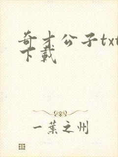 奇才公子txt下载