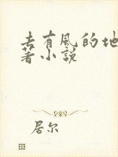 去有风的地方原著小说