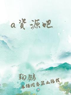 a资源吧