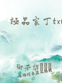极品家丁txt