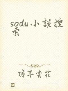 sodu小说搜索