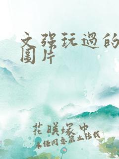 文强玩过的女人图片