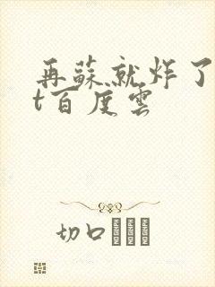 再苏就炸了txt百度云