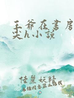 王爷在书房含乳尖h小说