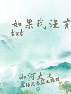 如果我没有爱过txt