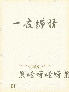 一夜缠情