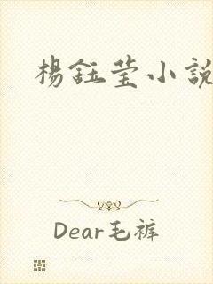 杨钰莹小说阅读